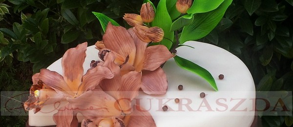 15 szeletes torta saját készitésű orchideával